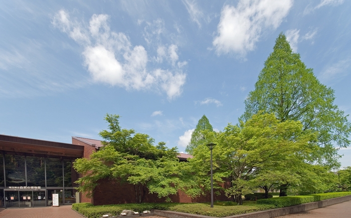 埼玉県立自然の博物館 外観 イメージ