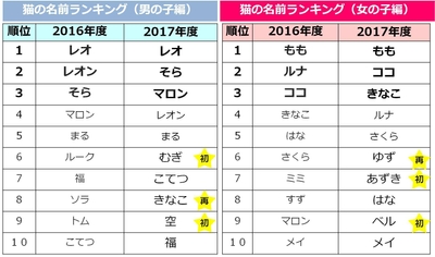 データ3