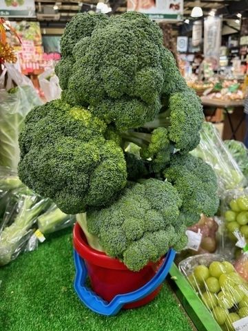 バケツに積み放題・ブロッコリー