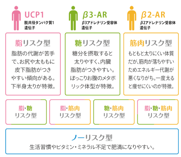 BODY ARCHIでできるリバウンドしないダイエットメソッド