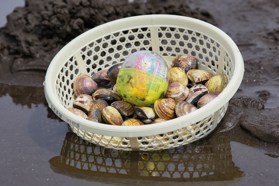 ザルと貝とカプセル