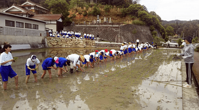 過去の田植え作業の様子
