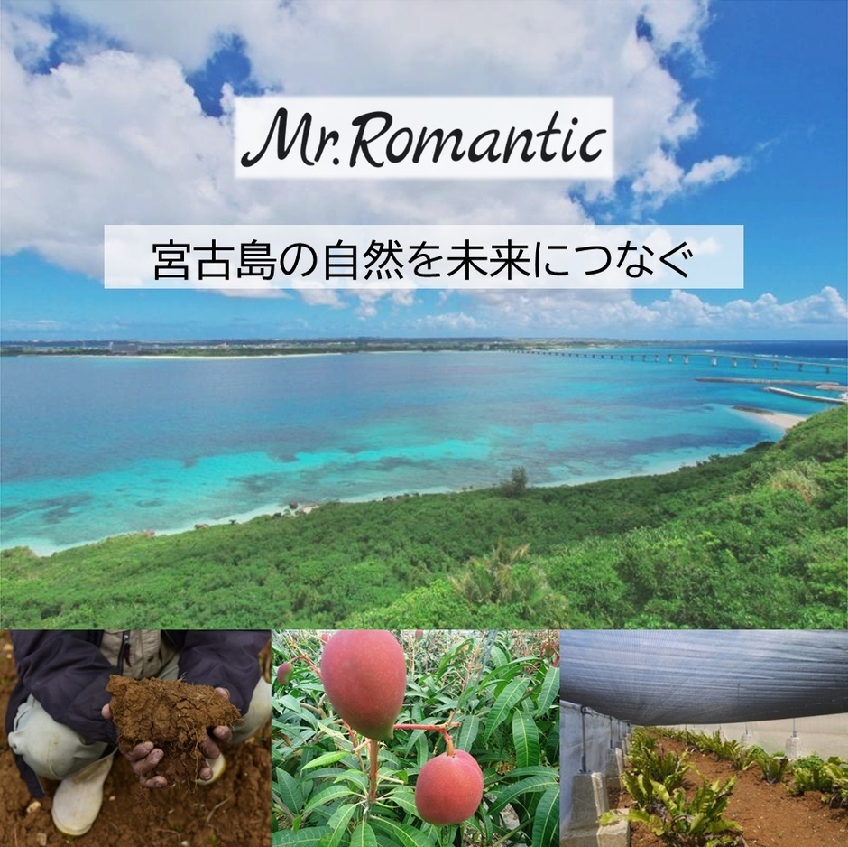 宮古島の有機農家が立ち上げ