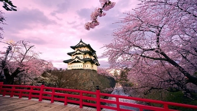 日本の高級旅行市場は2033年までに8,460万米ドルを超え、年平均成長率8.7%で成長すると予測