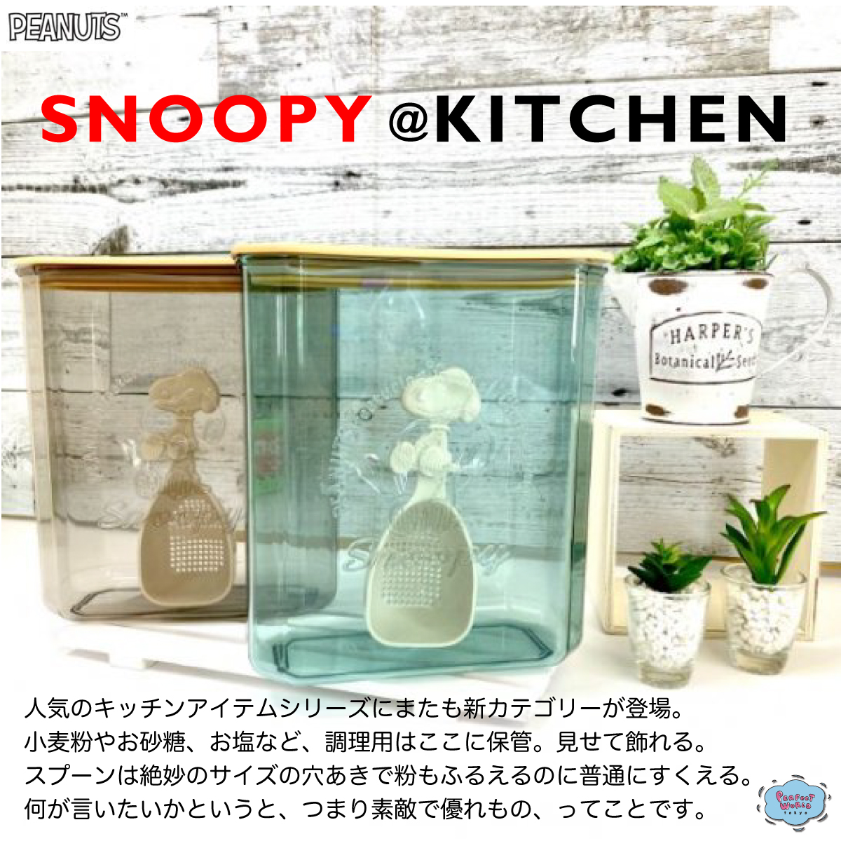 速報　新商品発売開始 粉末をオシャレに保存♪クリアで中身も見えるスヌーピーの粉末保存ケース