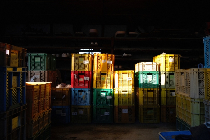 産地の様子1