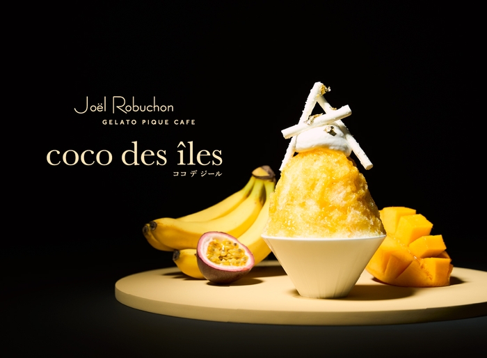 エキゾチックなトロピカルかき氷“coco des îles”(ココ デ ジール)