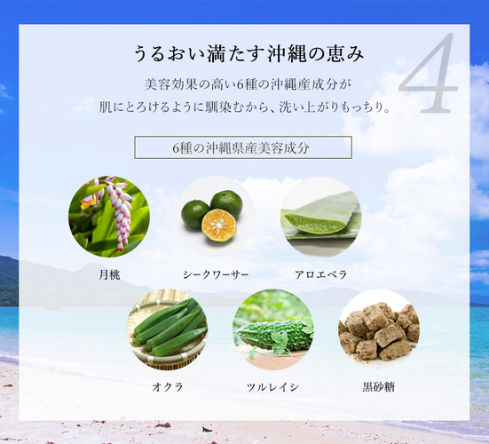 6種の沖縄県産美容成分