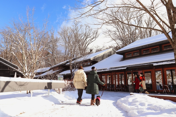 【星野エリア】ハルニレテラス 雪景色