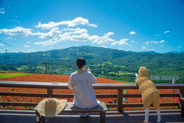 Momoiroテラス＆カフェからの絶景