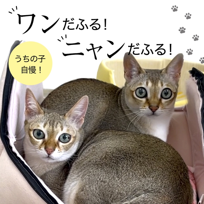 【うちの子自慢】ワンだふる!ニャンだふる!