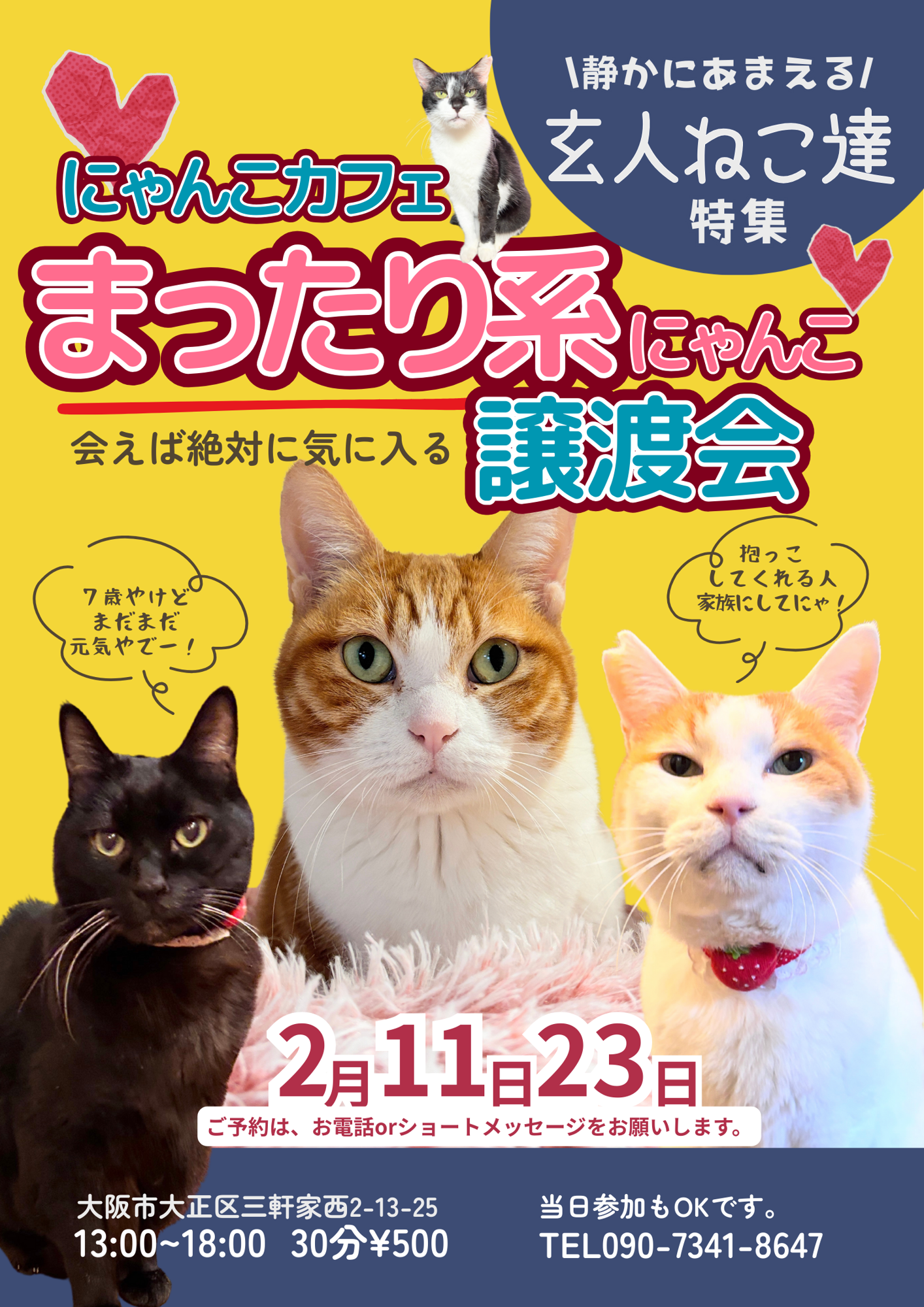 2/11・2/23 店内譲渡会開催のお知らせ