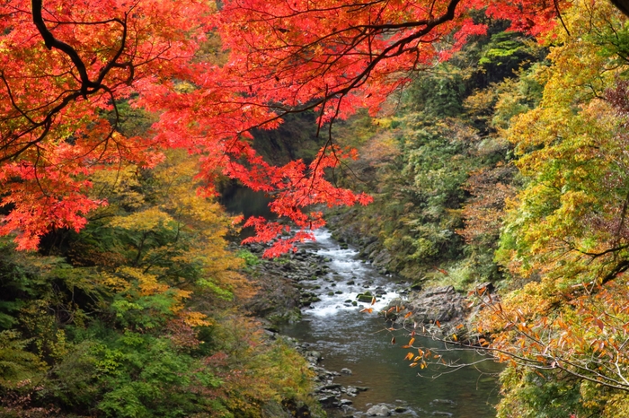 大多摩観光連盟