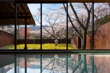 【界 日光】【界 川治】【界 鬼怒川】～地元の温泉旅館で魅力を再発見、安心安全な旅～界の栃木県内3施設「春のマイクロツーリズム」｜情報対象期間：2021年3月1日～5月31日