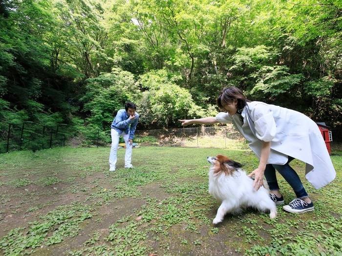 ワンちゃんとの宿泊もOK