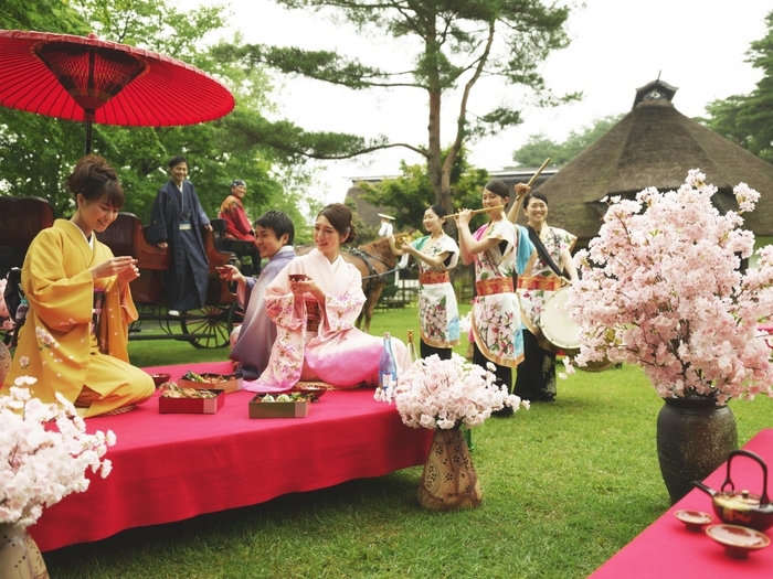 【青森屋】花見の時感(1)