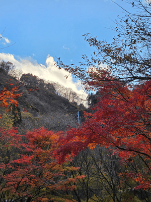 船尾滝(吉岡町)
