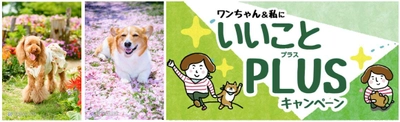 飼い主必見！うちの子かわいい自慢！ 史上最強にカワイイ犬 写真コンテスト開催！ 優秀作品にはケルヒャークリーナーなど素敵なプレゼント。 成功率0.00029％の「笑顔の犬」ショット多数公開。 写真家が語る“犬撮影あるある”！「休憩に入った途端に笑顔」