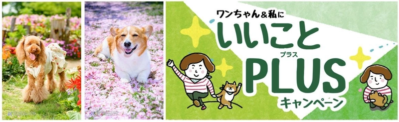 飼い主必見！うちの子かわいい自慢！ 史上最強にカワイイ犬 写真コンテスト開催！ 優秀作品にはケルヒャークリーナーなど素敵なプレゼント。 成功率0.00029％の「笑顔の犬」ショット多数公開。 写真家が語る“犬撮影あるある”！「休憩に入った途端に笑顔」
