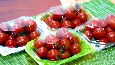 青果物販売シーンで活用できる農産パック！ 詰めやすく開閉しやすい「PSクリアルーフ」販売開始