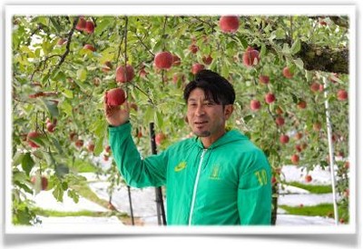 秋田県横手市りんご生産者(2)