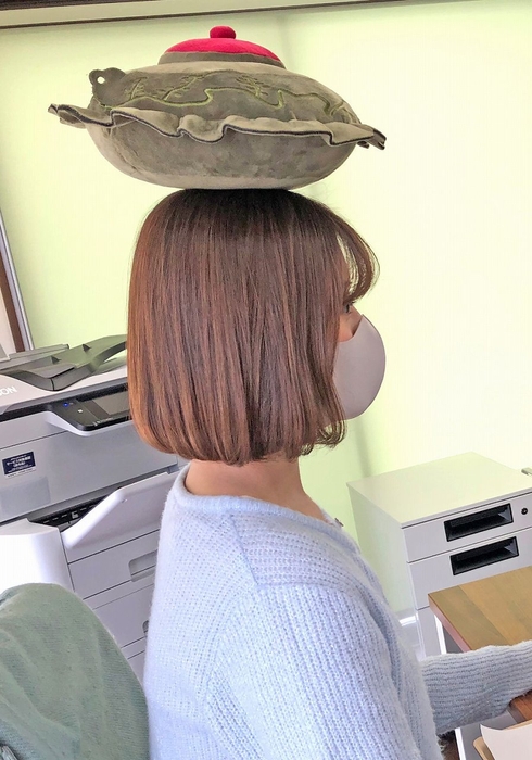 平蜘蛛ぬいぐるみ使用例1