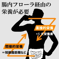 スポーツの日(10月9日)を記念し、ルルミルク割引クーポンを配布 　「運動習慣」×「発酵性食物繊維(ルミナコイド)」で スポーツ・腸活アップ