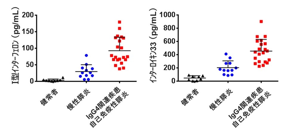 （図）健常者8人、慢性膵炎患者12人、自己免疫性膵炎・IgG4関連疾患患者21人の血清中のI型インターフェロンとインターロイキン33を測定した。自己免疫性膵炎・IgG4関連疾患患者では健常者や慢性膵炎患者と比べ、血清中のI型インターフェロンとインターロイキン33が高値を示した。