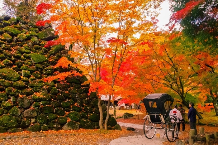 苔むした石垣と紅葉のコントラストが見事な懐古園