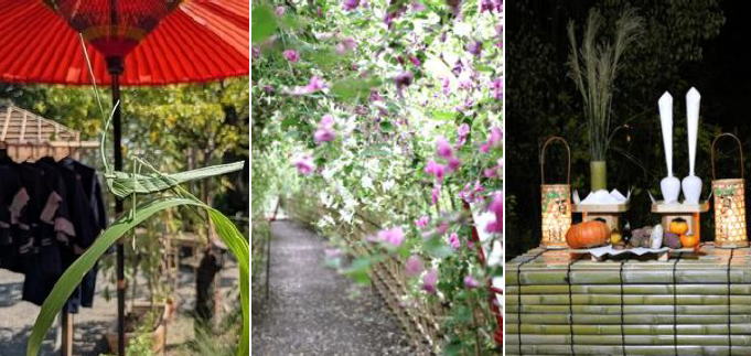 【向島百花園】「虫ききの会（8/27～30）・
萩まつり（9/19～10/12）・月見の会（9/24～26）」開催！