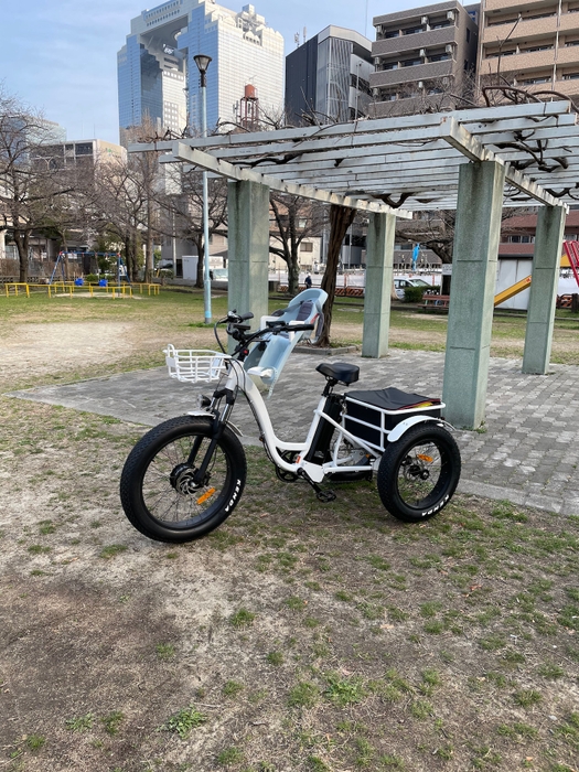 『i trike』708型一般モデル 1