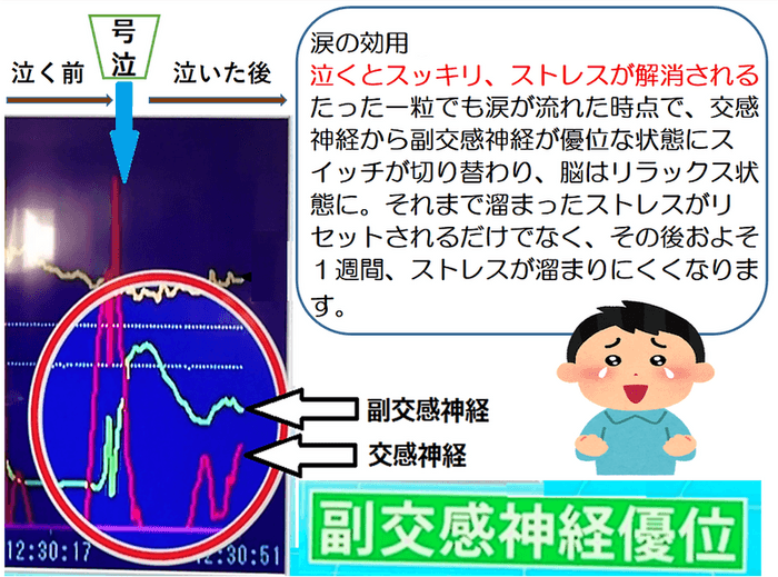 涙活で副交感神経が優位な状態にスイッチングして脳はリラックス状態に