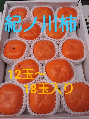 紀の川柿 10月から