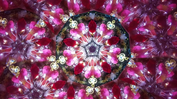 鈴木 明子_クリスマスローズ