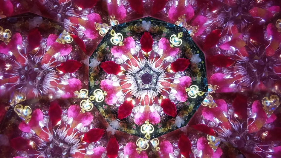 鈴木 明子_クリスマスローズ