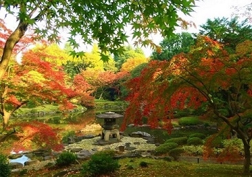 雪見灯篭と池回りの紅葉