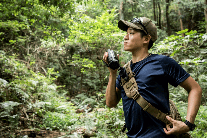 インダクションキャッチ ビデオ