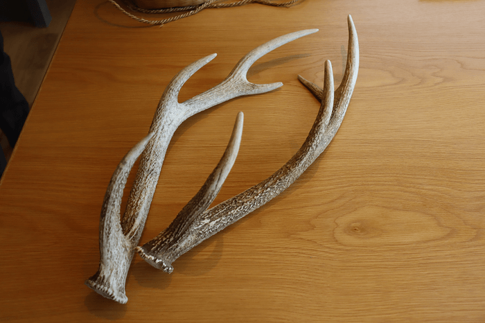 「猟師に弟子入り体験」イメージ4