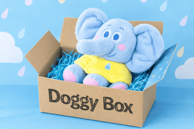 Doggy Boxおもちゃ　※イメージ