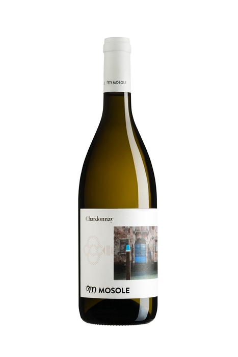 テヌータ・モゾレ シャルドネ