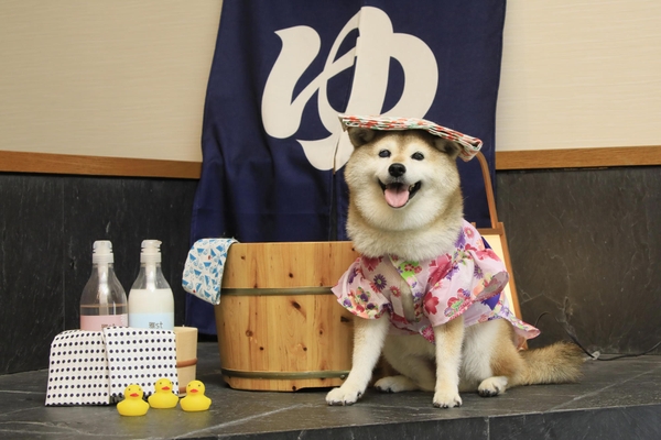 屋内フォトスポット