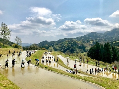 図1　里地里山（大山千枚田）の景観写真（撮影者：牛村展子）