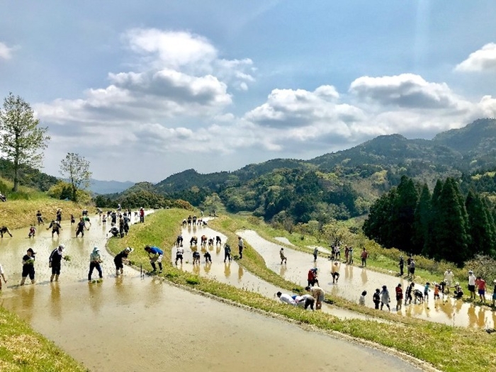 図1　里地里山（大山千枚田）の景観写真（撮影者：牛村展子）