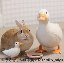可愛いうさぎ大集合“秋の祭典”「うさぎしんぼる展 2020」 9月18日～東京＆名古屋で開催！特設ブースでは貴重な原画展示も