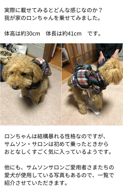 愛用者の使用例