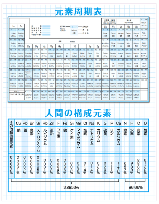 体内金属の働きを理解することがさびどめに重要