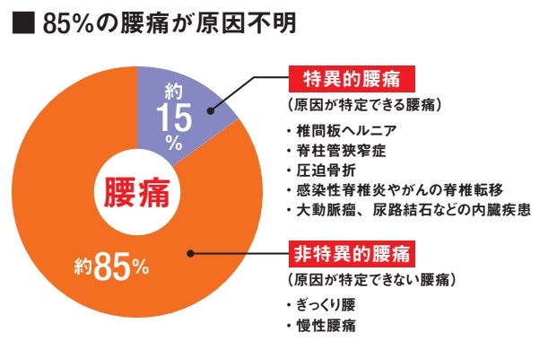 85%の腰痛が原因不明　※出典:平成 25 年国民生活基礎調査「厚生労働省」より改変