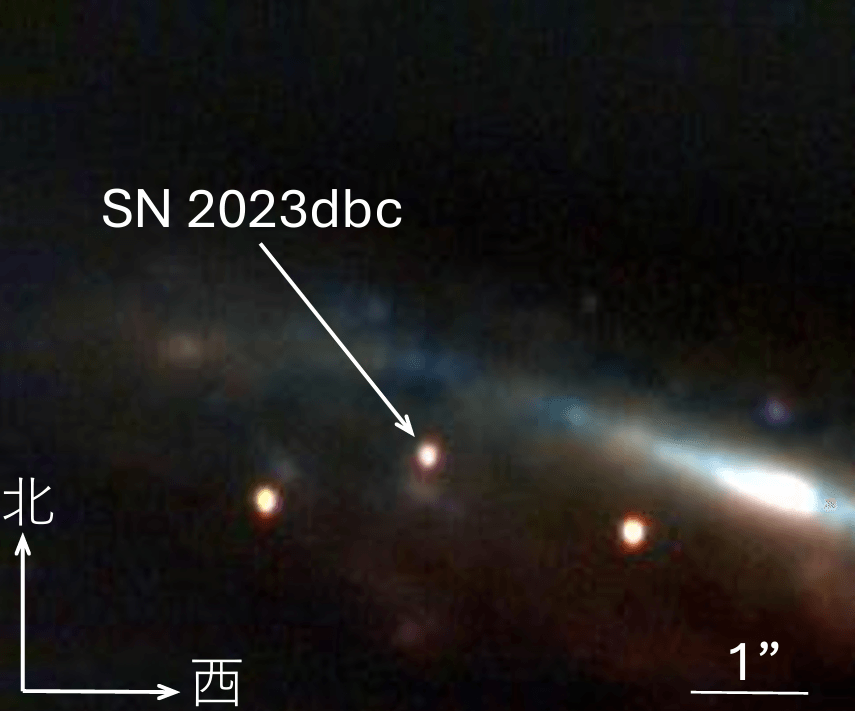 図2 鹿児島大学望遠鏡(入来観測所)に搭載した赤外カメラkSIRIUSで撮影された超新星の赤外写真。矢印の先にあるのが超新星 SN2023dbc。右に見える明るいコアから左斜め上に伸びているのは、銀河 M108(メシエ108)。