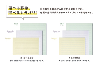 選べる罫線、選べるカラバリ!