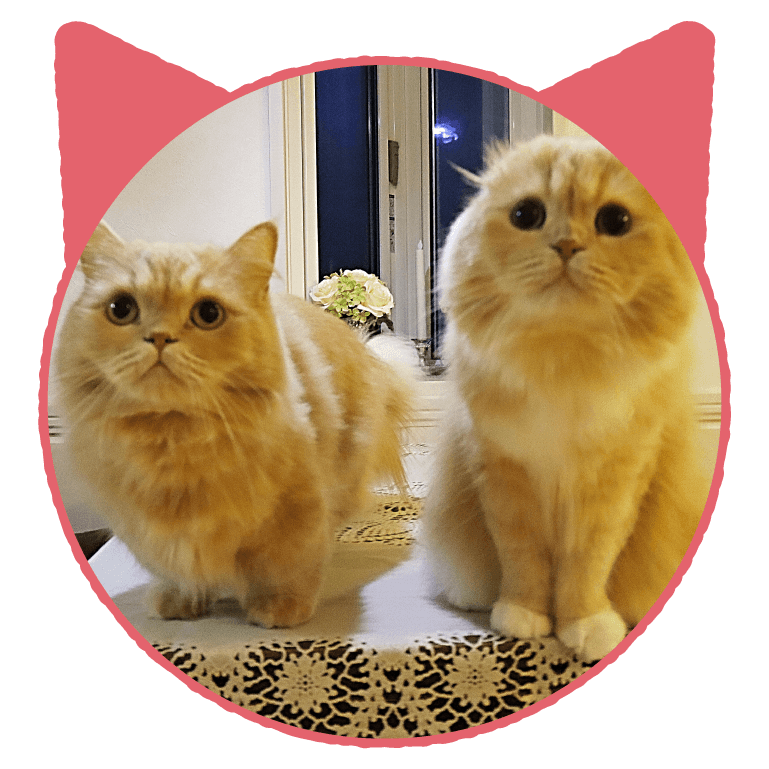 ベルちゃん・すずちゃん